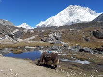 Honza Silný - Nepál: Sám až pod střechu světa