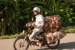 Vietnam - země jednostopých vozidel
