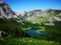 Bosna - kráska zjizvená válkou