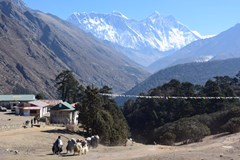 Poprvé na trek a rovnou do Everest base camp