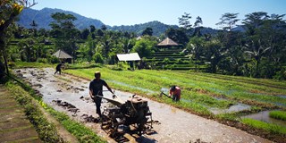 INDONÉSIE - z Bali na Lombok na skútru a lodí