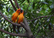 Borneo – od Lovců lebek až po právo Šaría (Marek Kovář)