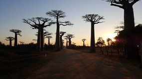 Madagaskar - Země krále Jelimána I Ústí nL