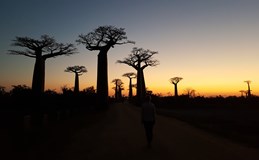 Madagaskar - Země krále Jelimána I Havířov