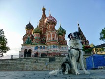 ČB - Stopem se psem v Asii | Travel stand-up | Slávek Král