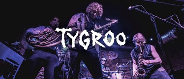 Tygroo