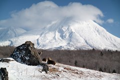 Live Stream: Zasněžené Japonsko (Vojta Lokša)