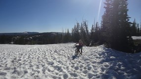 American trail race: Nejdelší závod planety pro horská kola
