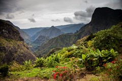 Live Stream: Réunion (přednáší Karel a Jana Wolfovi)