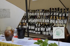 Mezinárodní výstava vín Grand Prix Austerlitz 2020