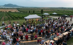 Sonberské (ne)vinné kulturní léto:Jarda Dušek&D. Ubrová Trio