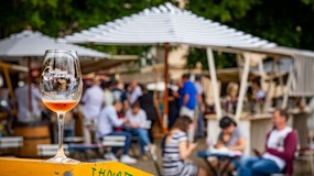 Festival vína letos bez vinařů, ale s KONCERTEM
