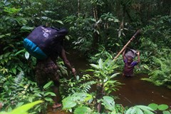 Papu Papua – za lidojedy – České Budějovice