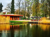 Rotunda Lounge Café, Hradec Králové