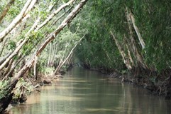 Mekong, delta. Co v deltě navštívit, život v deltě/Zdeněk P.