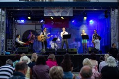 Srdce nehasnou, koncert Honzy Mlčocha s kapelou