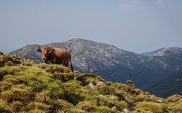 GR20 Mýma očima (Hana Jampílková)