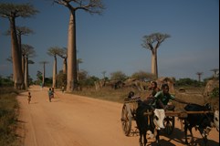 Kladno - Madagaskar - Petr Novák