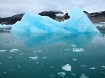 ONLINE: Špicberky aneb k severnímu pólu za ledním medvědem