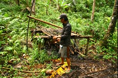 ONLINE: Filipíny - život v pralese (Milada Řeháková)