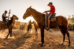 ONLINE: Kyrgyzstán a Tádžikistán - Střední Asie (P. Svoboda)