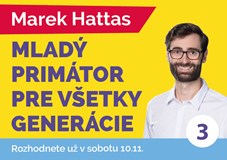 Webinář: Jak úspěšně kandidovat v komunálních volbách 2022