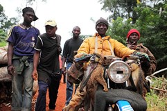 ONLINE: Srdce Afriky - za pygmeji - Tomáš Kubeš