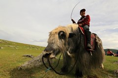 ONLINE: MONGOLSKO - svoboda a volnost - Tomáš Kubeš