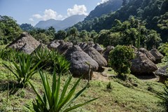 ONLINE: Pěšky džunglí do Ztraceného města (M. Eslem,D. Surý)
