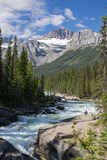 1200 km kanadskou divočinou: Great Divide Trail