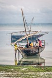 ONLINE: Tanzanie se zebrami pod hvězdami (Jan Papež)