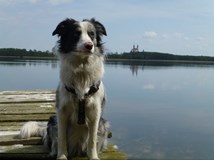ONLINE: Cestování se psem po Evropě (Slávek Král)