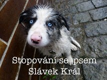 ONLINE: Cestování se psem po Evropě (Slávek Král)