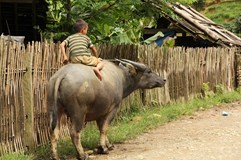 ONLINE: Vietnam od severu k jihu (Magda Radostová)