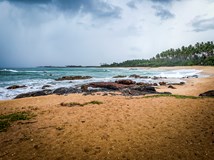 ONLINE: Srí Lanka - putování za přírodou (Milada Řeháková)