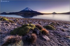 ONLINE: Altiplano - Chile & Bolivie (Jan Miklín)