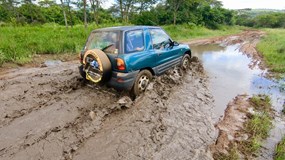 ONLINE: Uganda – po stopách horských goril (David Šrámek)