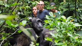 ONLINE: Uganda – po stopách horských goril (David Šrámek)