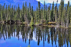 ONLINE: Aljaška – divoká a krásná země! (Miloslav Martan)