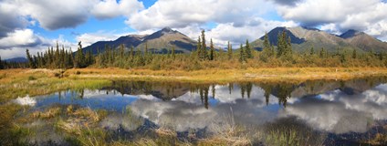 ONLINE: Aljaška – divoká a krásná země! (Miloslav Martan)