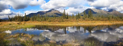 ONLINE: Aljaška – divoká a krásná země! (Miloslav Martan)