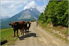 ONLINE: Balkánské hory - Č. Hora, Albánie, Kosovo(D.Hainall)