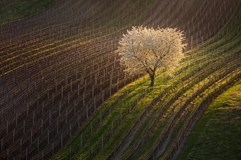 ONLINE: Jak Martin Rak fotografuje Čechy