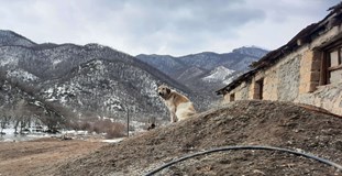 ONLINE: Následky války o Náhorní Karabach (Markéta Kutilová)