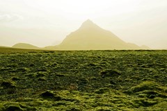 ONLINE: Island - stopem, na koni a pěšky (V. Hlaváčková)