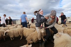 ONLINE: Island - stopem, na koni a pěšky (V. Hlaváčková)