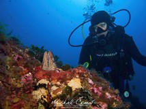 ONLINE: Illes Medes - potápěčská perla středomoří (M. Černý)