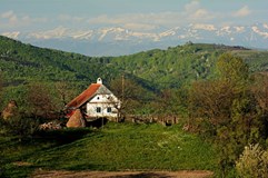 ONLINE: U českých krajanů v rumunském Banátu (Vilda Dvořák)