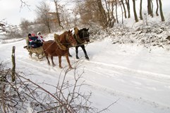 ONLINE: U českých krajanů v rumunském Banátu (Vilda Dvořák)