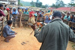 ONLINE: Východní Timor a další země JV Asie (Karel Štěpánek)